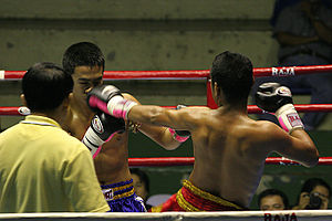Tayland boksu
